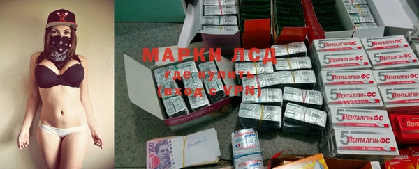 spice Новозыбков