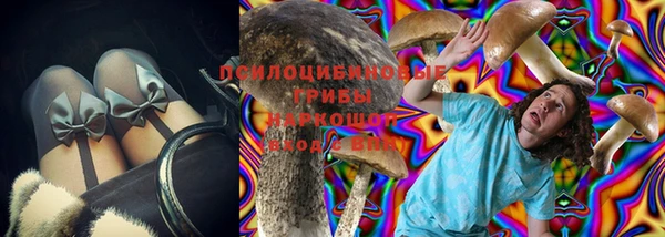 ECSTASY Новодвинск