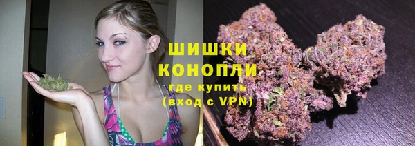 spice Новозыбков