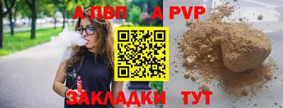 гидра Кингисепп