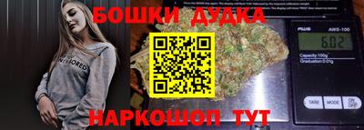 гидра Кингисепп