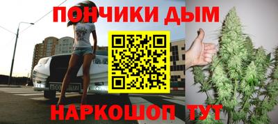 гидра Кингисепп