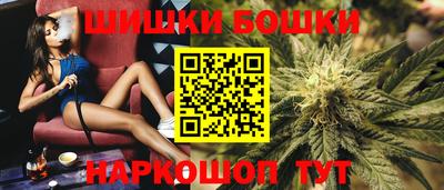 гидра Кингисепп