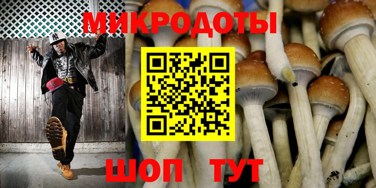 Псилоцибиновые грибы Cubensis  Урюпинск 