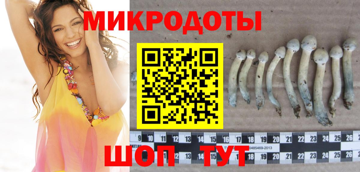 Галлюциногенные грибы прущие грибы Урюпинск