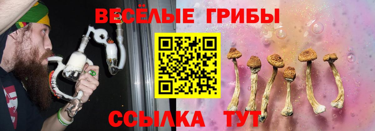 Урюпинск  Псилоцибиновые грибы прущие грибы  Псилоцибиновые грибы прущие грибы  Вход с VPN 