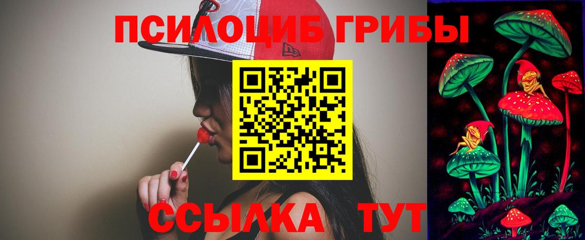 Псилоцибиновые грибы Psilocybine cubensis Урюпинск